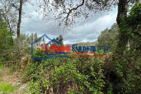 Helårsgrund i Vila Verde, Braga, Vila Verde - € 110.000 | Ref: 33870039A - foto 17