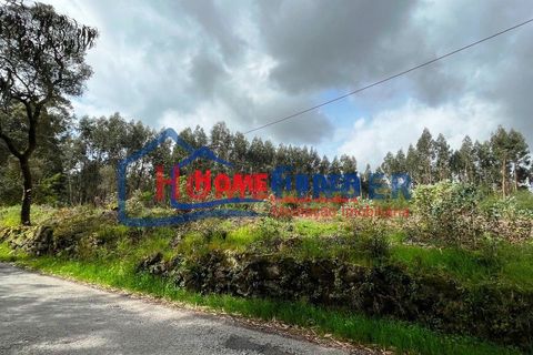 Helårsgrund i Vila Verde, Braga, Vila Verde - € 110.000 | Ref: 33870039A - foto 31