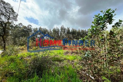 Helårsgrund i Vila Verde, Braga, Vila Verde - € 110.000 | Ref: 33870039A - foto 32