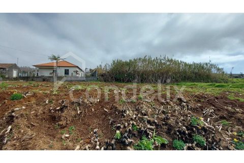 Villa i Ponta do Pargo, Madeira, Ponta do Pargo - € 125.000 | Ref: 100906 - foto 9