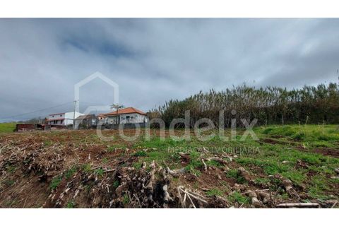 Villa i Ponta do Pargo, Madeira, Ponta do Pargo - € 125.000 | Ref: 100906 - foto 10