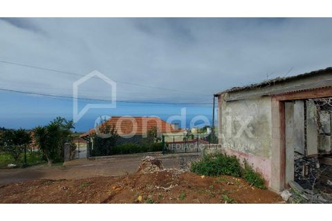 Villa i Ponta do Pargo, Madeira, Ponta do Pargo - € 125.000 | Ref: 100906 - foto 13