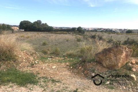 Tomt i Samouco, Setubal, Samouco - € 85 000 | Ref: T/4672-LA - foto 2