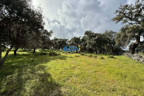 Helårsgrund i Escalos de Cima e Lousa, Castelo Branco, Escalos de Cima e Lousa - € 100.000 | Ref: 124073 - foto 1