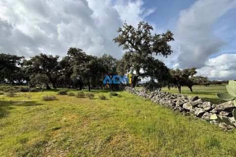 Helårsgrund i Escalos de Cima e Lousa, Castelo Branco, Escalos de Cima e Lousa - € 100.000 | Ref: 124073 - foto 3