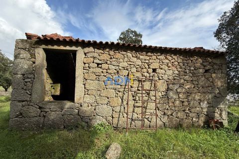Helårsgrund i Escalos de Cima e Lousa, Castelo Branco, Escalos de Cima e Lousa - € 100.000 | Ref: 124073 - foto 4