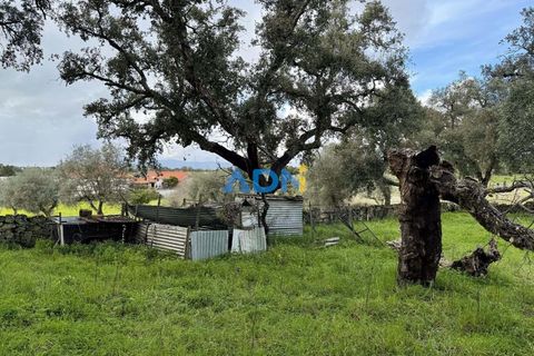 Helårsgrund i Escalos de Cima e Lousa, Castelo Branco, Escalos de Cima e Lousa - € 100.000 | Ref: 124073 - foto 9