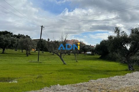 Helårsgrund i Escalos de Cima e Lousa, Castelo Branco, Escalos de Cima e Lousa - € 100.000 | Ref: 124073 - foto 12