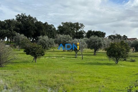 Helårsgrund i Escalos de Cima e Lousa, Castelo Branco, Escalos de Cima e Lousa - € 100.000 | Ref: 124073 - foto 13