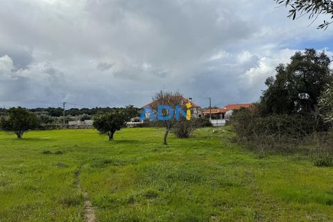 Helårsgrund i Escalos de Cima e Lousa, Castelo Branco, Escalos de Cima e Lousa - € 100.000 | Ref: 124073 - foto 14