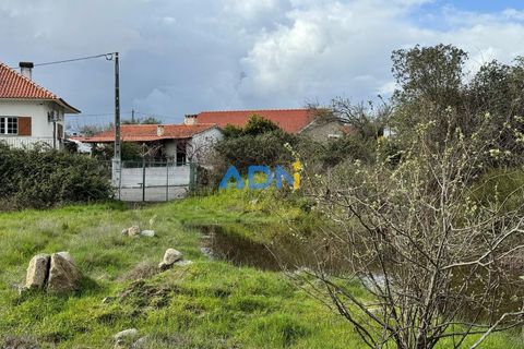Helårsgrund i Escalos de Cima e Lousa, Castelo Branco, Escalos de Cima e Lousa - € 100.000 | Ref: 124073 - foto 16