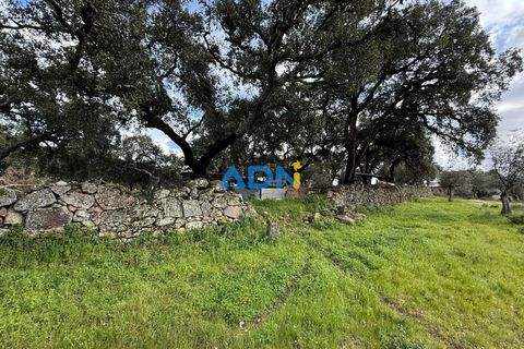 Helårsgrund i Escalos de Cima e Lousa, Castelo Branco, Escalos de Cima e Lousa - € 100.000 | Ref: 124073 - foto 18