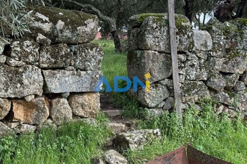 Helårsgrund i Escalos de Cima e Lousa, Castelo Branco, Escalos de Cima e Lousa - € 100.000 | Ref: 124073 - foto 19