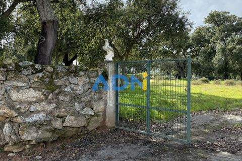 Helårsgrund i Escalos de Cima e Lousa, Castelo Branco, Escalos de Cima e Lousa - € 100.000 | Ref: 124073 - foto 21