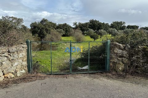 Helårsgrund i Escalos de Cima e Lousa, Castelo Branco, Escalos de Cima e Lousa - € 100.000 | Ref: 124073 - foto 23