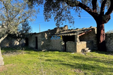 Masia a Alcains, Castelo Branco, Alcains - € 120.000 | Ref: 125022 - foto 3