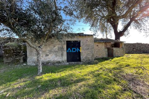 Masia a Alcains, Castelo Branco, Alcains - € 120.000 | Ref: 125022 - foto 4