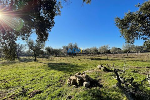 Masia a Alcains, Castelo Branco, Alcains - € 120.000 | Ref: 125022 - foto 5