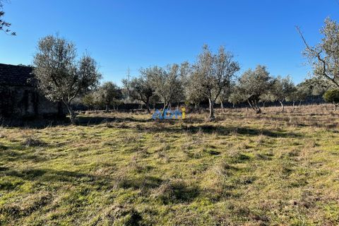 Masia a Alcains, Castelo Branco, Alcains - € 120.000 | Ref: 125022 - foto 6