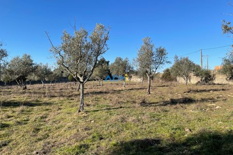 Masia a Alcains, Castelo Branco, Alcains - € 120.000 | Ref: 125022 - foto 9