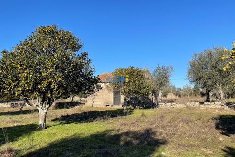 Masia a Alcains, Castelo Branco, Alcains - € 120.000 | Ref: 125022 - foto 10