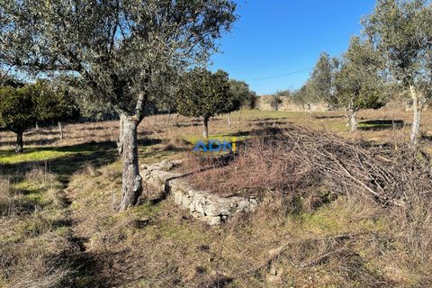 Masia a Alcains, Castelo Branco, Alcains - € 120.000 | Ref: 125022 - foto 11