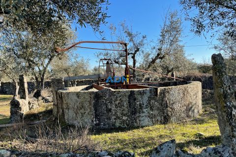 Masia a Alcains, Castelo Branco, Alcains - € 120.000 | Ref: 125022 - foto 13
