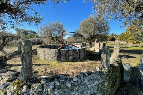 Masia a Alcains, Castelo Branco, Alcains - € 120.000 | Ref: 125022 - foto 14
