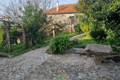 Villa en Valenca, Viana do Castelo, Valenca - € 460.000 | Ref: PTL-001-071 - photo 3