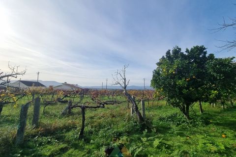 Villa en Valenca, Viana do Castelo, Valenca - € 460.000 | Ref: PTL-001-071 - photo 36