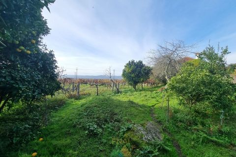 Villa en Valenca, Viana do Castelo, Valenca - € 460.000 | Ref: PTL-001-071 - photo 37