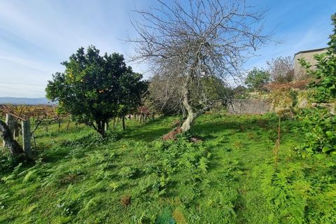 Villa en Valenca, Viana do Castelo, Valenca - € 460.000 | Ref: PTL-001-071 - photo 39