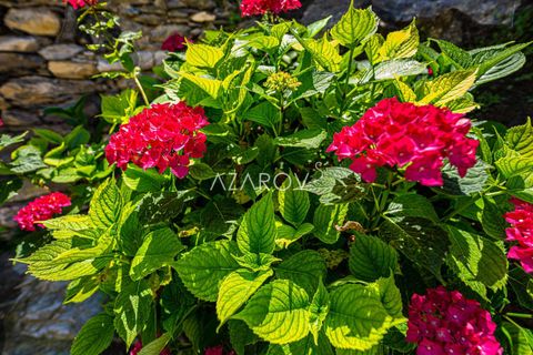 Villa i Triora, Imperia, Triora - € 95.000 | Ref: 5421 - foto 6