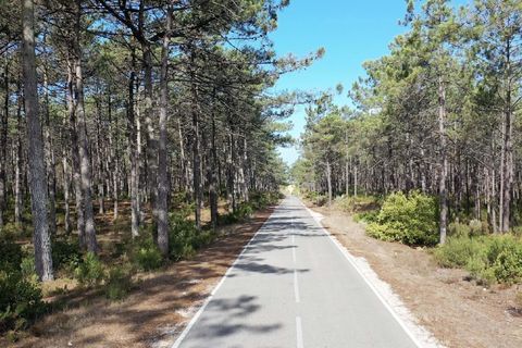 Lejlighed i Nazare, Leiria, Nazare - € 365.000 | Ref: Vale Furado Retreat II - foto 17