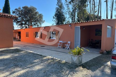 Villa a Sangalhos, Aveiro, Sangalhos - € 790.000 | Ref: 4257 - foto 44