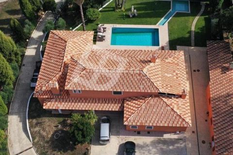 Villa a Sangalhos, Aveiro, Sangalhos - € 790.000 | Ref: 4257 - foto 2