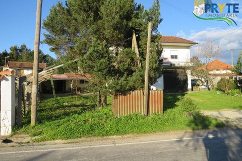 Villa i Cabecudo, Castelo Branco, Cabecudo - € 170.000 | Ref: SO05 - foto 4