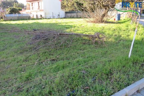 Villa i Cabecudo, Castelo Branco, Cabecudo - € 170.000 | Ref: SO05 - foto 10