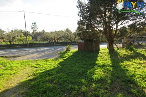 Villa i Cabecudo, Castelo Branco, Cabecudo - € 170.000 | Ref: SO05 - foto 11
