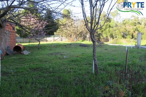 Villa i Cabecudo, Castelo Branco, Cabecudo - € 170.000 | Ref: SO05 - foto 12