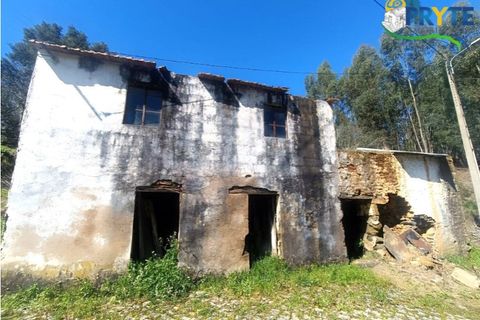Ruinere i Serta, Castelo Branco, Serta - € 29.500 | Ref: MG156 - foto 2