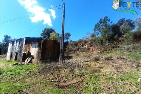 Ruinere i Serta, Castelo Branco, Serta - € 29.500 | Ref: MG156 - foto 4