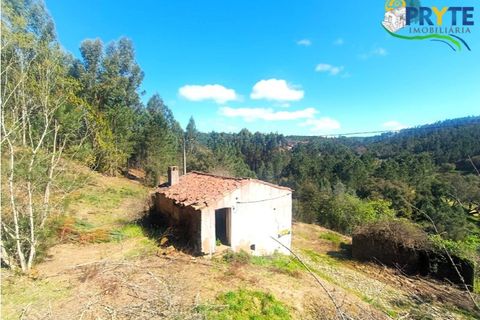 Ruinere i Serta, Castelo Branco, Serta - € 29.500 | Ref: MG156 - foto 6