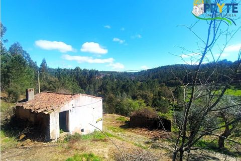 Ruinere i Serta, Castelo Branco, Serta - € 29.500 | Ref: MG156 - foto 7