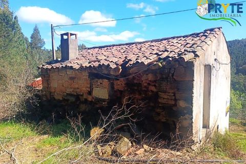 Ruinere i Serta, Castelo Branco, Serta - € 29.500 | Ref: MG156 - foto 8