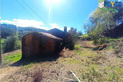 Ruinere i Serta, Castelo Branco, Serta - € 29.500 | Ref: MG156 - foto 9