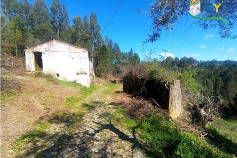 Ruinere i Serta, Castelo Branco, Serta - € 29.500 | Ref: MG156 - foto 10