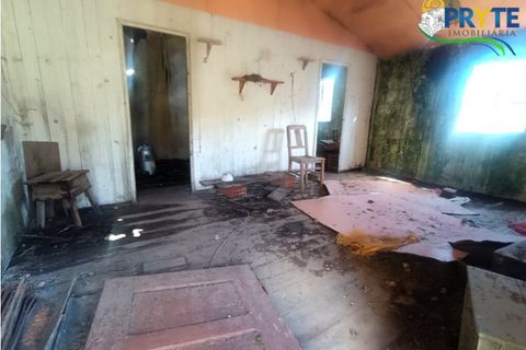 Ruinere i Serta, Castelo Branco, Serta - € 29.500 | Ref: MG156 - foto 11