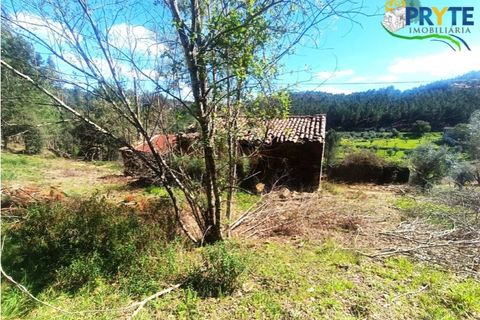 Ruinere i Serta, Castelo Branco, Serta - € 29.500 | Ref: MG156 - foto 17