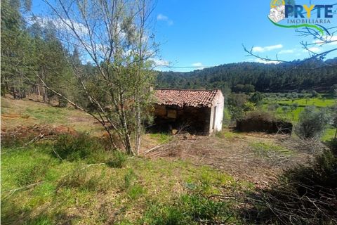 Ruinere i Serta, Castelo Branco, Serta - € 29.500 | Ref: MG156 - foto 18